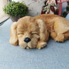 Realistic Golden Retriever Dog Plush Toy 3