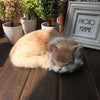 Lifelike Realistic Sleeping Cat Plush Toy 4