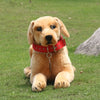 Realistic Life size Golden Retriever Plush Dog 3