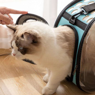 Cat Space Capsule Transparent Carrier Backpack 9