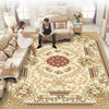 Carpet for Living Room - Area Rug 17