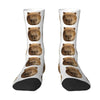 Capybara Men Women Crew Socks 7