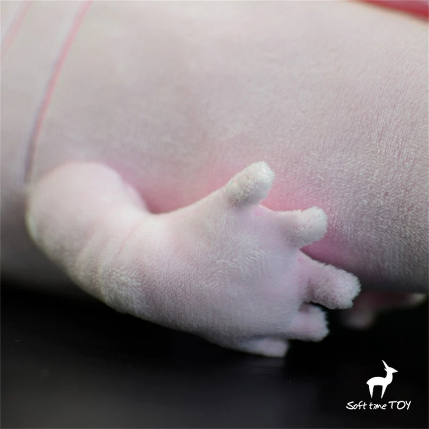 Close-up of a plush toy with a hand and foot, branded 'Soft Time Toy'.