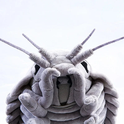 Realistic Isopod  Sea Creature Stuffed Toy