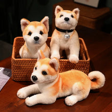 Realistic Akita Dog Plush Stuffed Toy