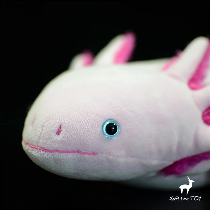 Close-up of a pink axolotl plush toy with a black background
