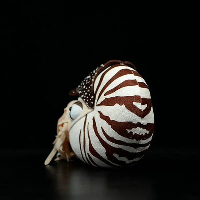 Realistic Nautilus Nautiloidea Fish Plush Toy - Furvenzy