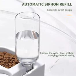 Pet food and water bowl on a white background