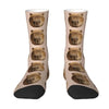 Capybara Men Women Crew Socks 8