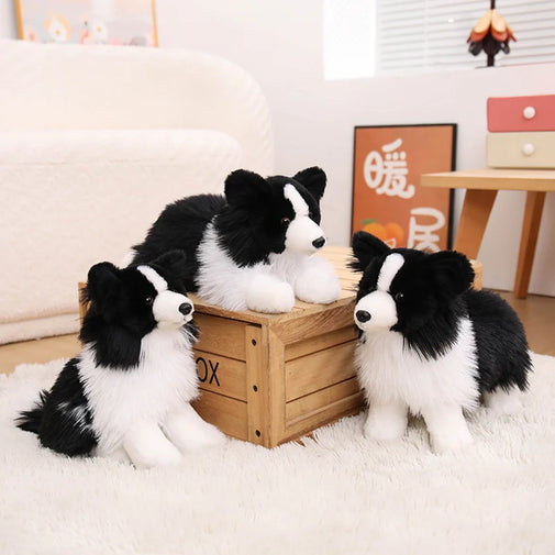 Three black and white plush dog toys styled on a white rug with a wooden crate in a cozy, brightly lit room.