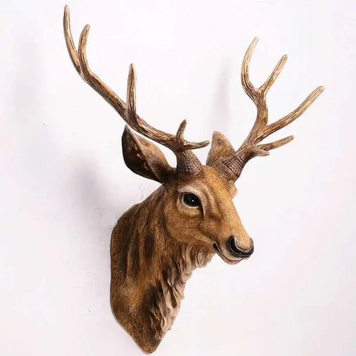 Deer head mount with large antlers on a white background