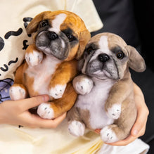 Realistic Poodle & Pug Puppy Plush Stuffed Toy