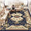 Carpet for Living Room - Area Rug 9