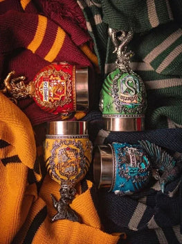 Harry Potters Hogwarts Coffee Cup & Mug Furvenzy