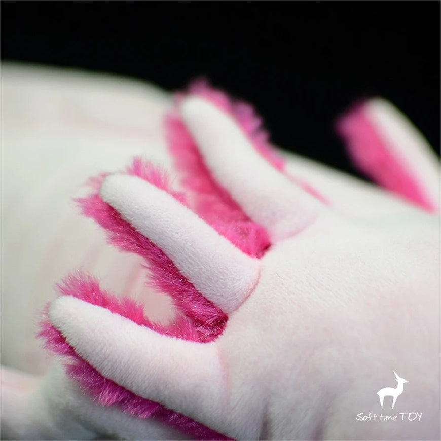 Close-up of pink and white paw with 'Soft Time Toy' branding.