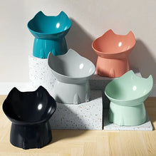 Elevated Cat Bowl Tilted Anti-Tip Feeding Dish