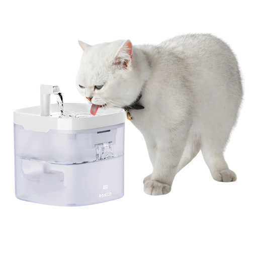 White cat drinking from a pet water fountain on a white background