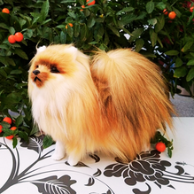 Realistic Pomeranian Dog Plush Stuffed Toy