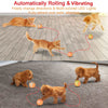 Busy Ball Dog Toy Smart & Interactive - Furvenzy