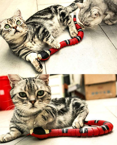 Cat Snake Toy