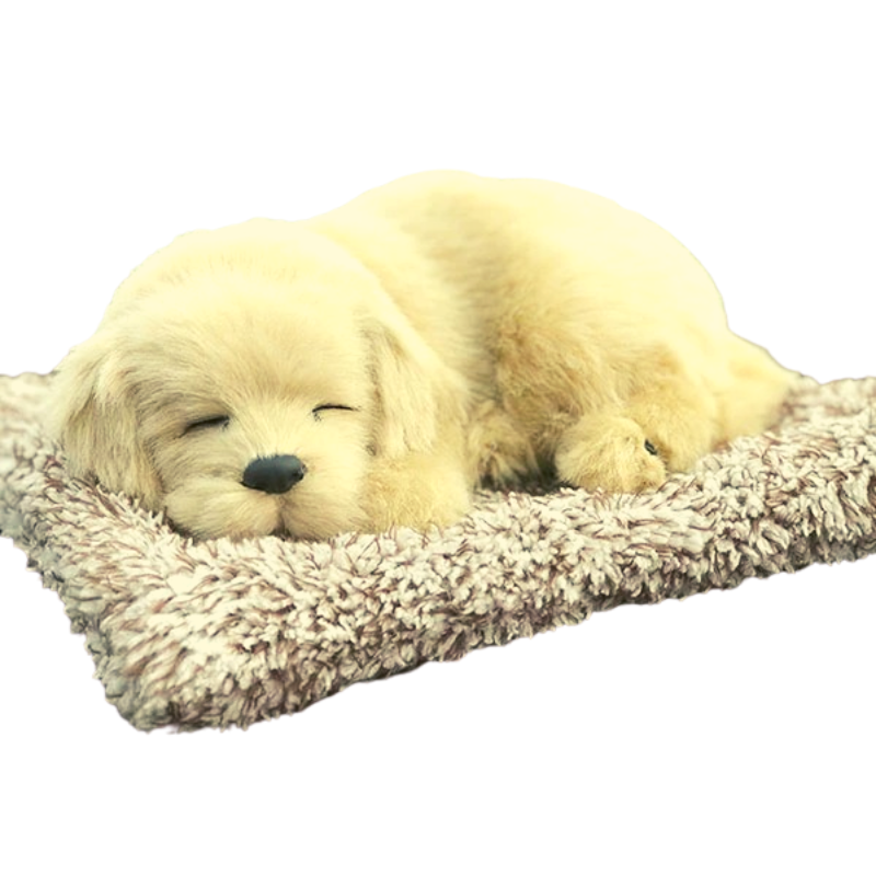 Realistic Dog Plush Toy - Husky / Charlie / Labrador / Golden Dog / Cats