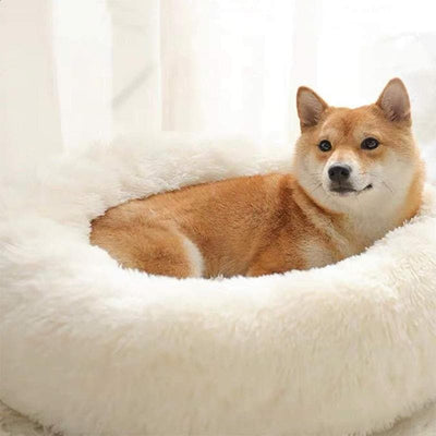 Super Soft Fluffy Pet Bed - Furvenzy