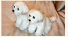 Realistic Maltese Dog Plush Stuffed Toy