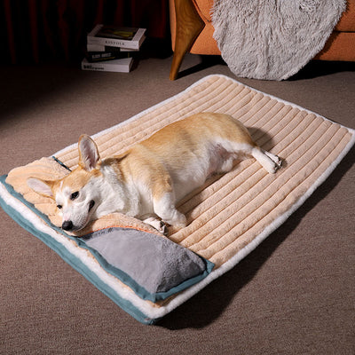 DOG BED WITH PADDED CUSHION 16
