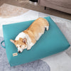 Pet Dog Sofa Mattress 1