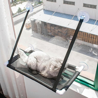 Cat Hanging Bed Sunny Window Hammock - Furvenzy
