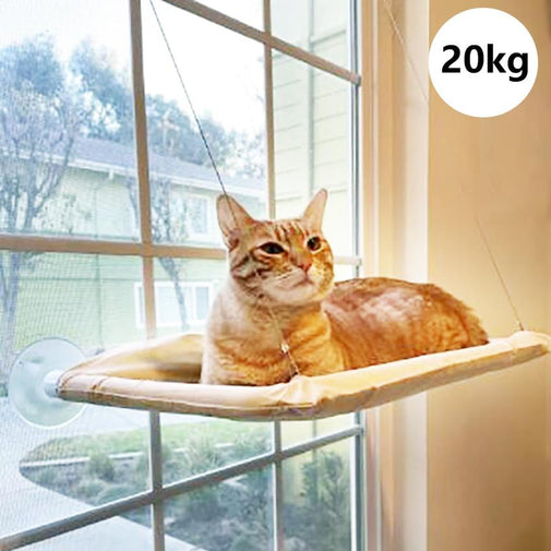 Cute Cat Hammock Hanging Beds Furvenzy