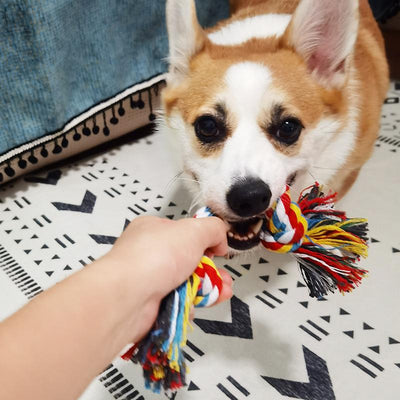 Dog Bite Rope Toy - Furvenzy