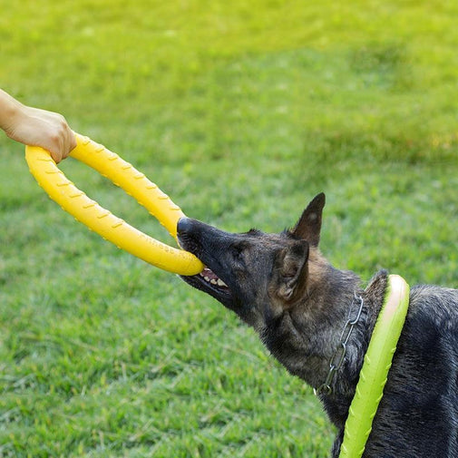 Flying Discs Dog Training Toy Ring Furvenzy