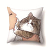 Kitty Cushion Covers - Furvenzy