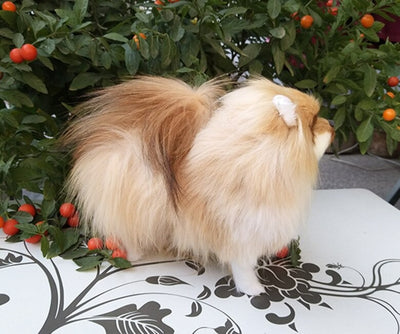 Realistic Pomeranian Dog Plush Stuffed Toy