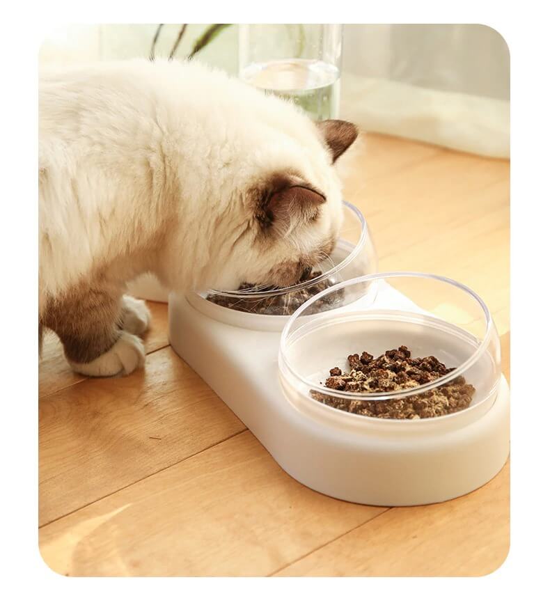 3 in 1 Elevated Cat Bowl with Water Fountain - Furvenzy
