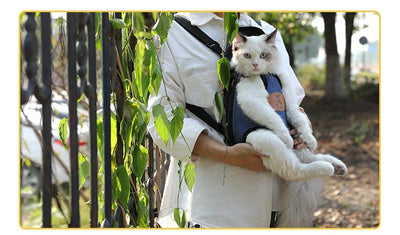 Pet Cat Carrier Fashion Travel Bag - Furvenzy
