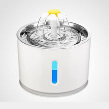 Pet Water Fountain