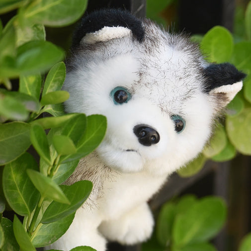 Realistic Husky Dog Plush Stuffed Toy Furvenzy