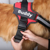 No Pull Dog Harness - Personalized Name Patch
