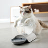 Cat Gravity Waterer Bowl Dispenser