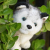 Realistic Husky Dog Plush Stuffed Toy