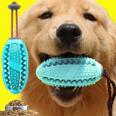 Rubber Kong Dog Toothbrush Toy - Furvenzy
