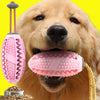 Rubber Kong Dog Toothbrush Toy - Furvenzy