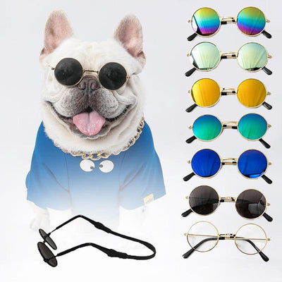 Sunglasses for Cats & Dogs - Furvenzy